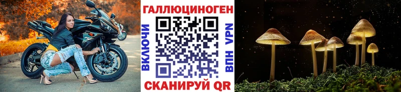 Галлюциногенные грибы GOLDEN TEACHER Еманжелинск