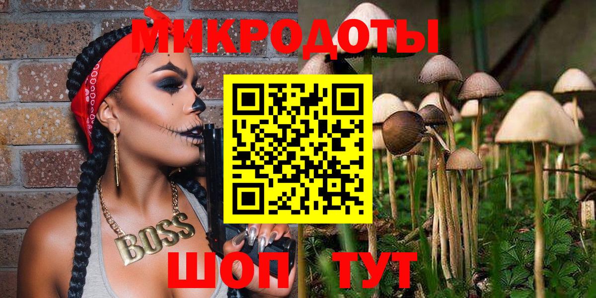 Еманжелинск  Псилоцибиновые грибы Psilocybine cubensis  Вход с VPN 