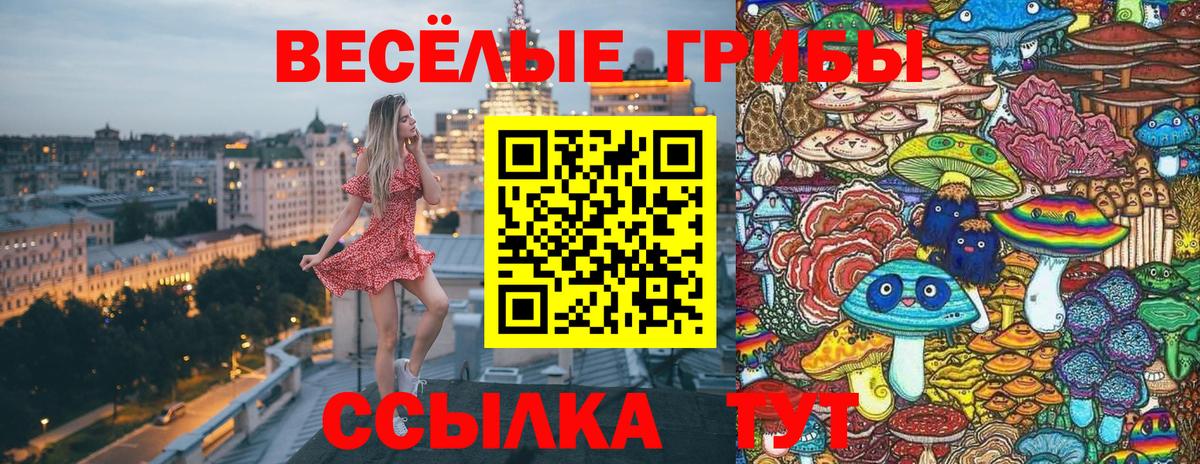 Галлюциногенные грибы ЛСД Еманжелинск